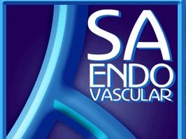SA Endovascular